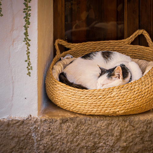Photo #14047518