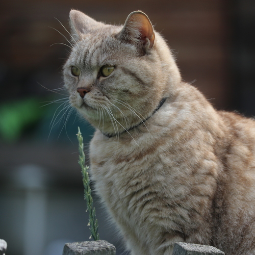 Photo #14047533