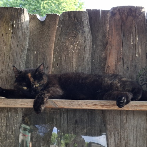 Photo #14047684
