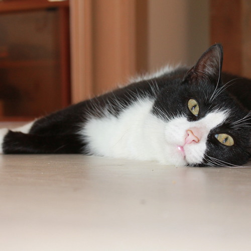 Photo #14047686