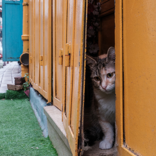 Photo #14047775