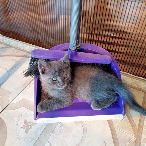 Photo #14047844