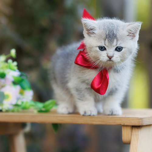 Photo #14047857