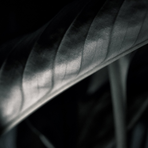 Photo #14047946