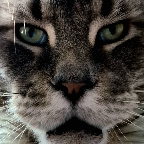 Photo #14048008