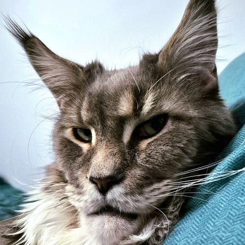 Photo #14048011