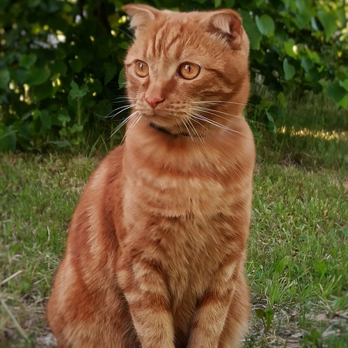 Photo #14048065