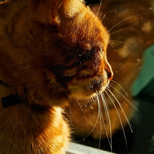 Photo #14048067