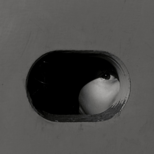 Photo #14048106