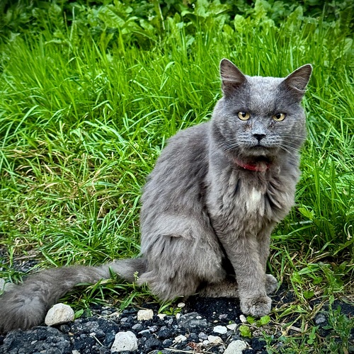 Photo #14048109