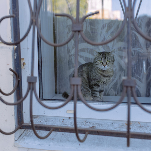Photo #14048132