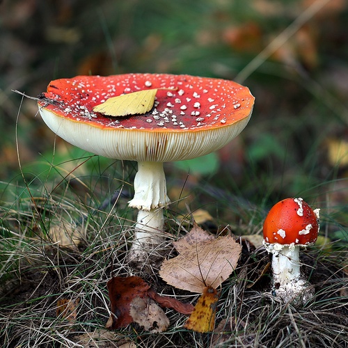 Photo #14048136