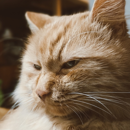 Photo #14048237