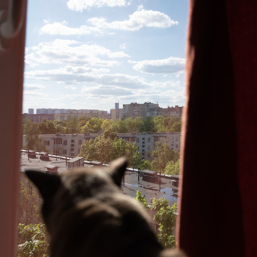 Photo #14048251