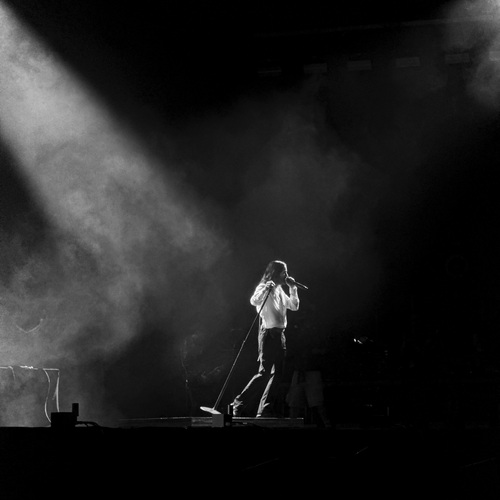 Photo #14048288