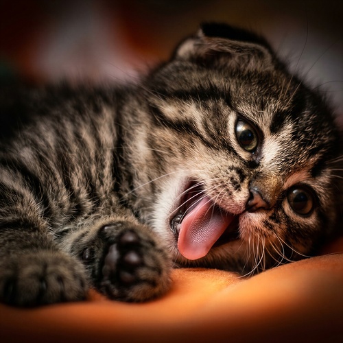 Photo #14048313
