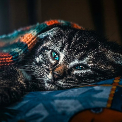 Photo #14048314