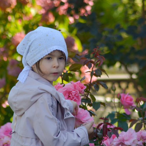 Photo #14048339