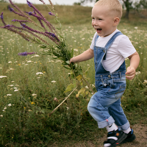 Photo #14048349