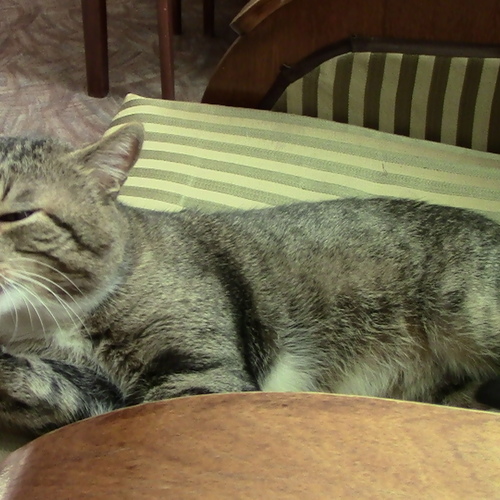Photo #14048426