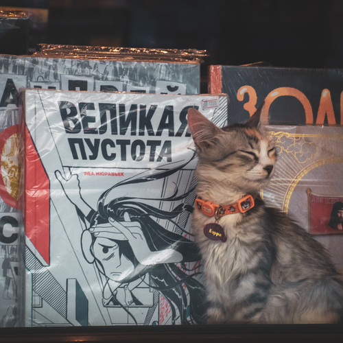 За стеклом