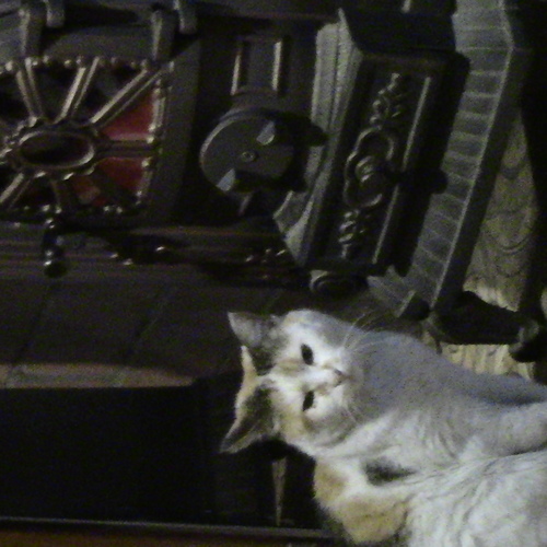 Photo #14048432