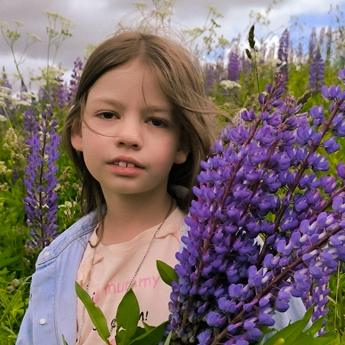 Photo #14048442