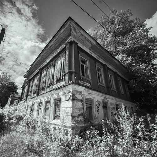 Photo #14048568