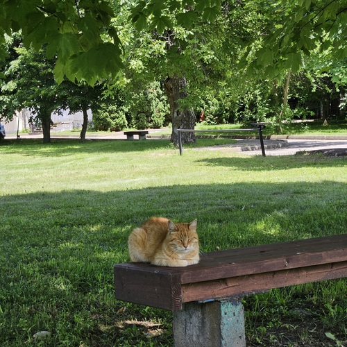 Photo #14048633