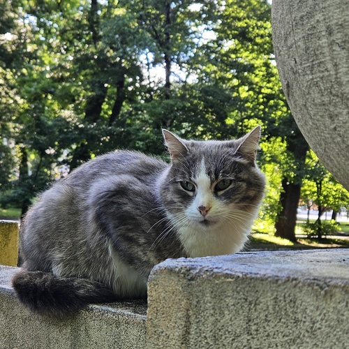 Photo #14048634