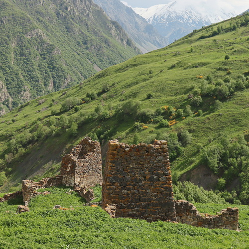 Photo #14048711