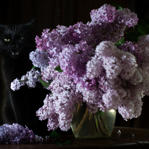 Photo #14048805