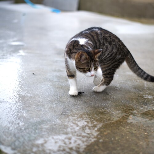 Photo #14048944