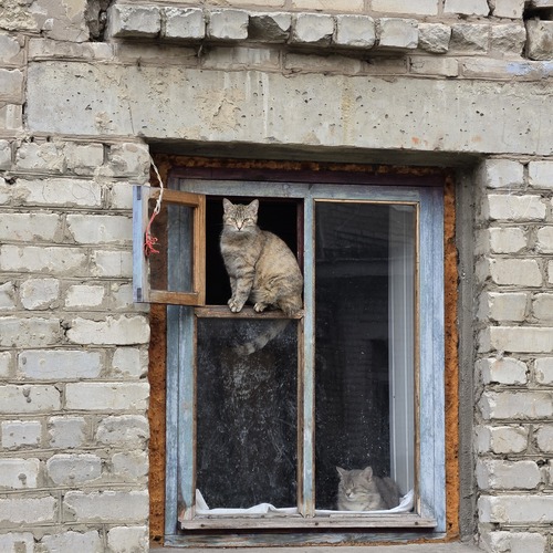 Photo #14049056
