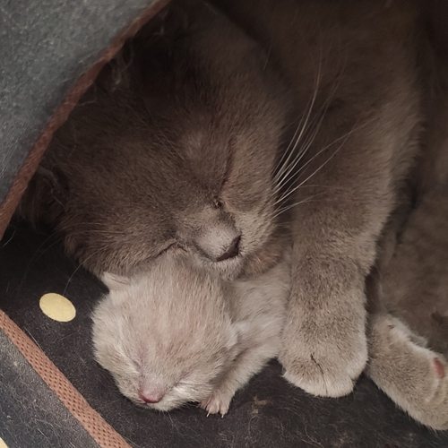 Photo #14049067