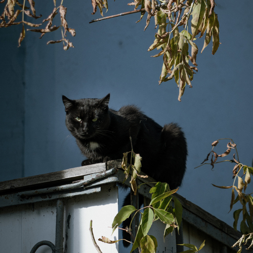 Photo #14049075