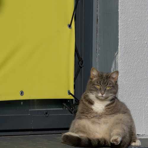 Photo #14049084