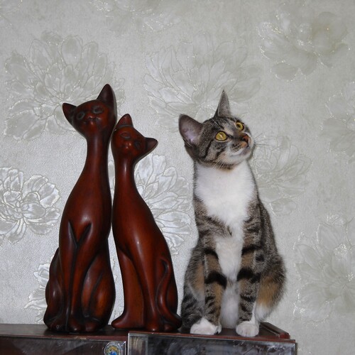 Тритий лишний