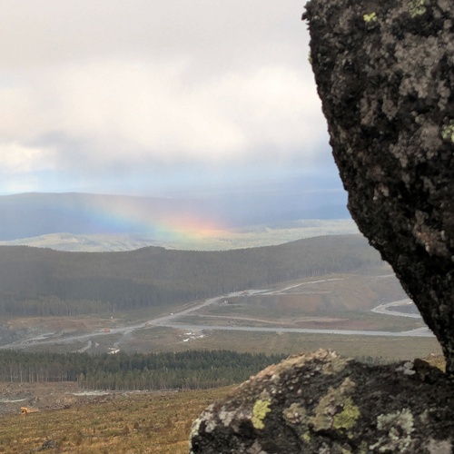Photo #14049168