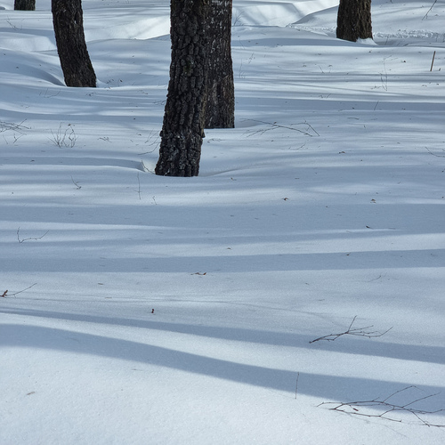 Photo #14049197