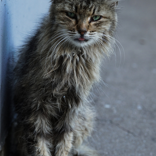 Photo #14049198