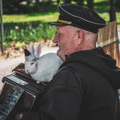 Музыканты
