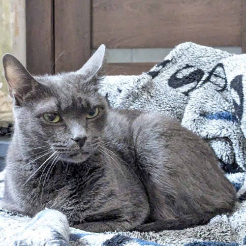 Photo #14049256