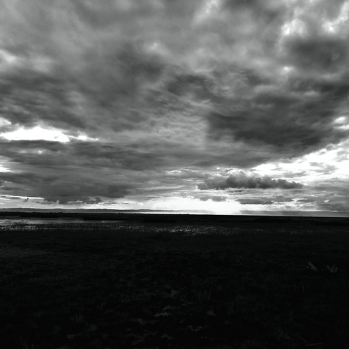 Photo #14049289