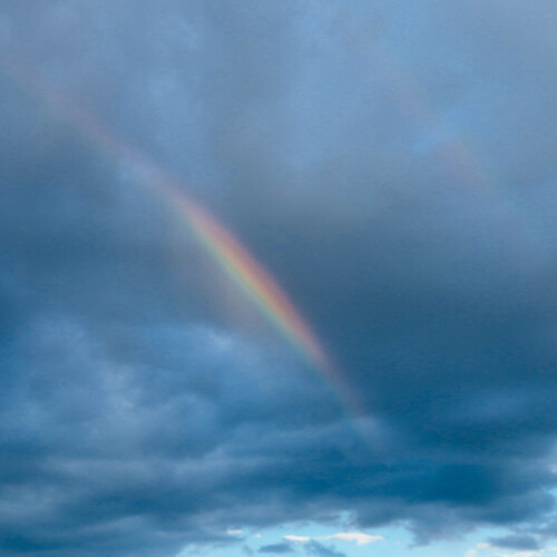 Photo #14049392