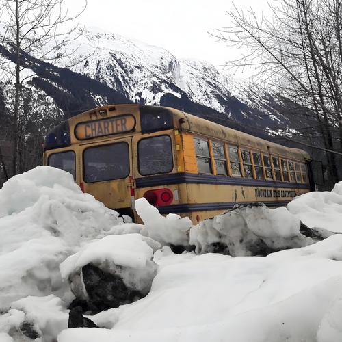 Photo #14049416