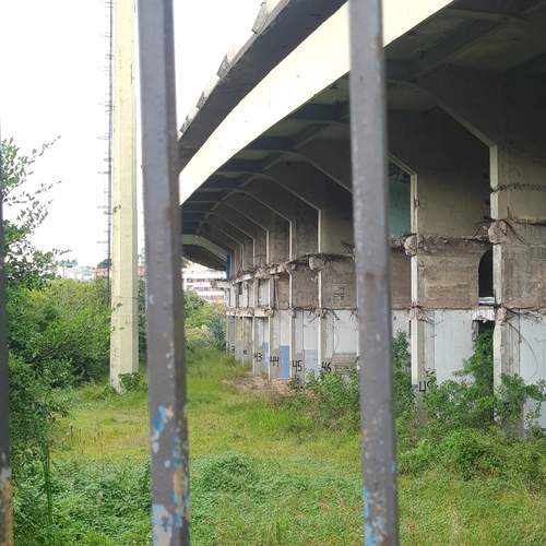 Photo #14049464