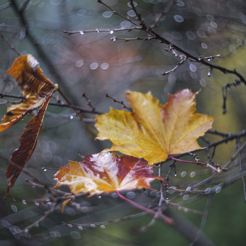 Photo #14049474