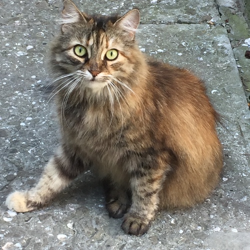 Photo #14049477