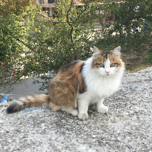 Photo #14049478